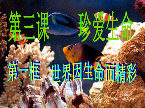 世界因生命而精彩ppt优秀课件7 人教版PPT课件