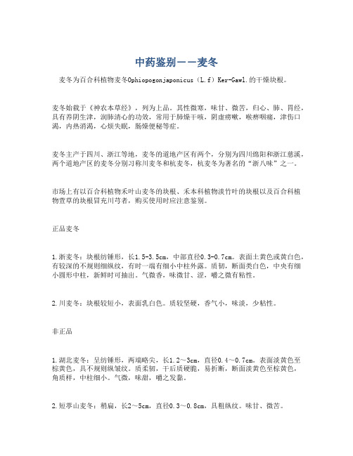 中药鉴别――麦冬