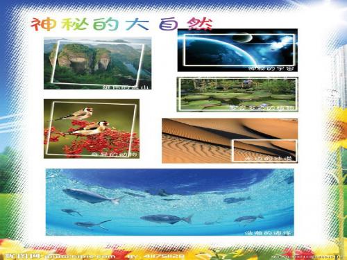 小学语文S版六年级上册课件 23自然之道