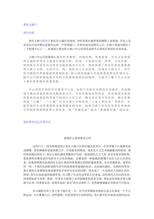 夏建统作品赏析之 从东方到西方 042重庆大渡口