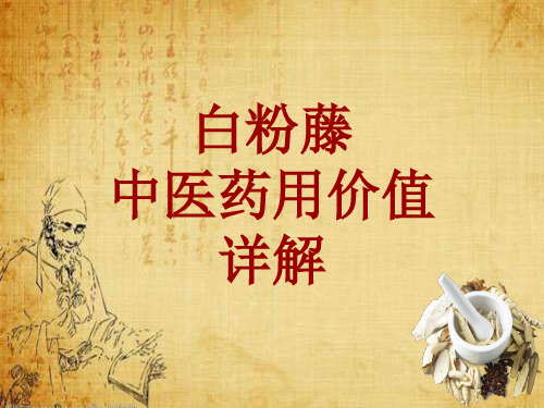 中药学_白粉藤_药材详解课件模板