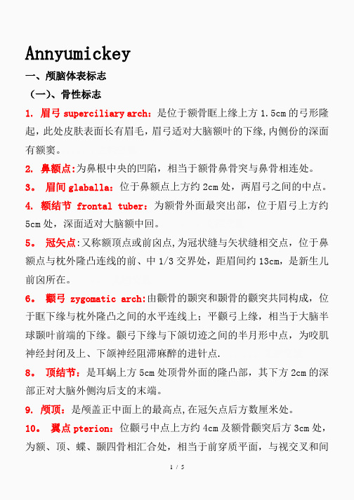 颅脑体表标志(精品课件)