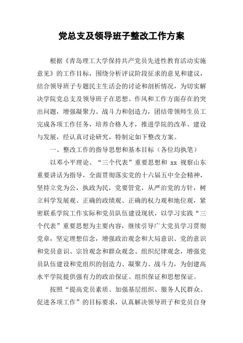 党总支及领导班子整改工作方案