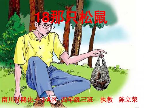 《那只松鼠》教学课件