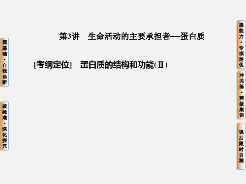 高考生物 一轮复习 第3讲 生命活动的主要承担者 蛋白质