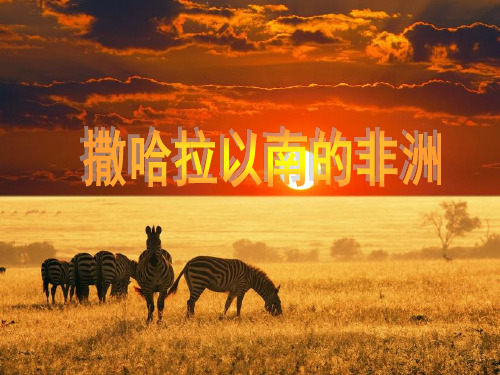 人教版地理七下第八章第3节《撒哈拉以南非洲》课件(共54张PPT)
