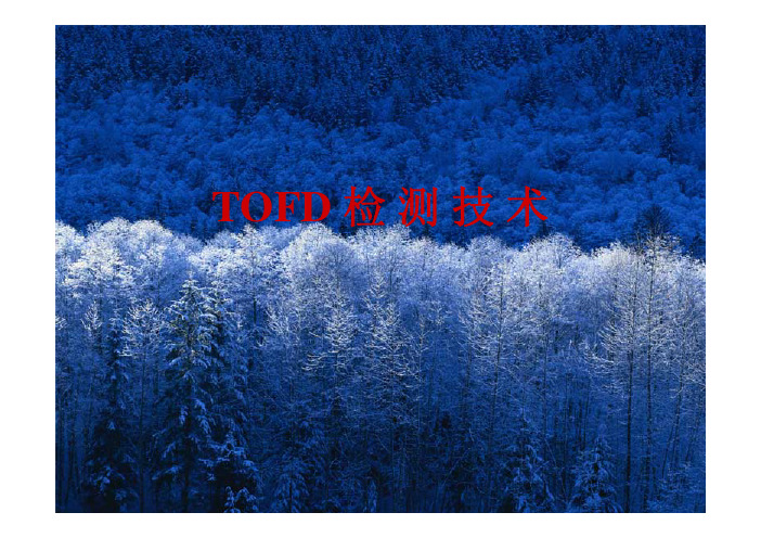 TOFD技术
