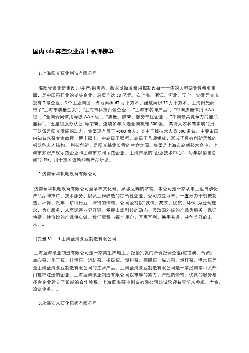 国内cds真空泵业前十品牌榜单