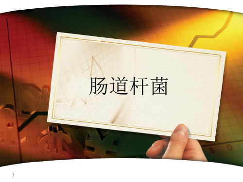 病原肠道杆菌ppt课件