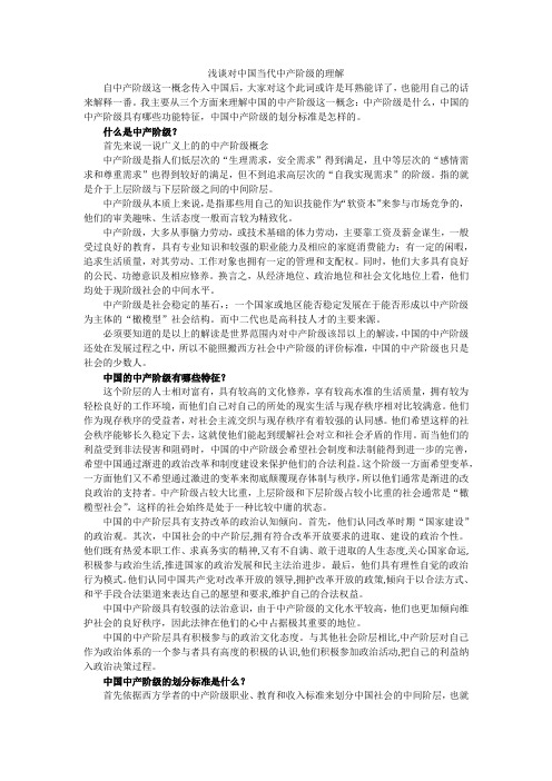 对中产阶级的理解