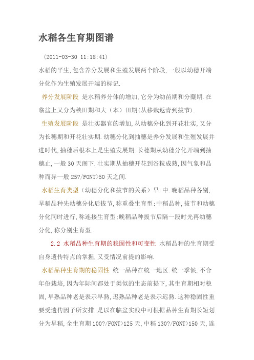 水稻各生育期图谱