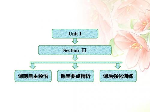 人教版高中英语选修8Unit 1  Section  Ⅲ  Grammar 名词性从句