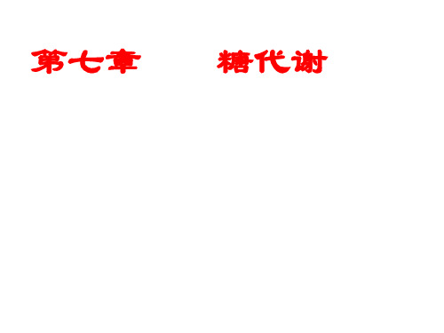生物化学糖代谢