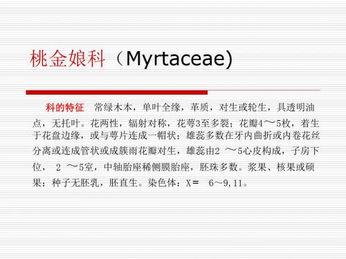 桃金娘科(MYRTACEAE)