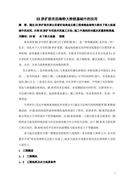 DX挤扩桩施工在沿海特大桥桩基础中的应用