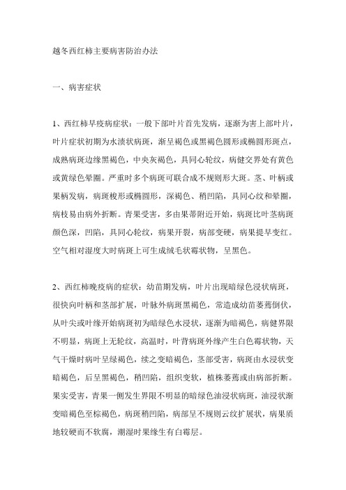 越冬西红柿主要病害防治办法