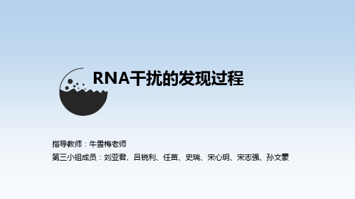 RNAi的发现过程