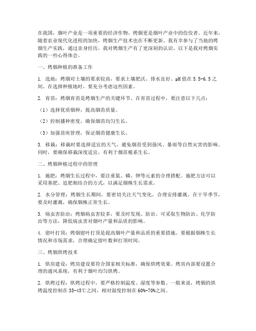烤烟实践心得体会