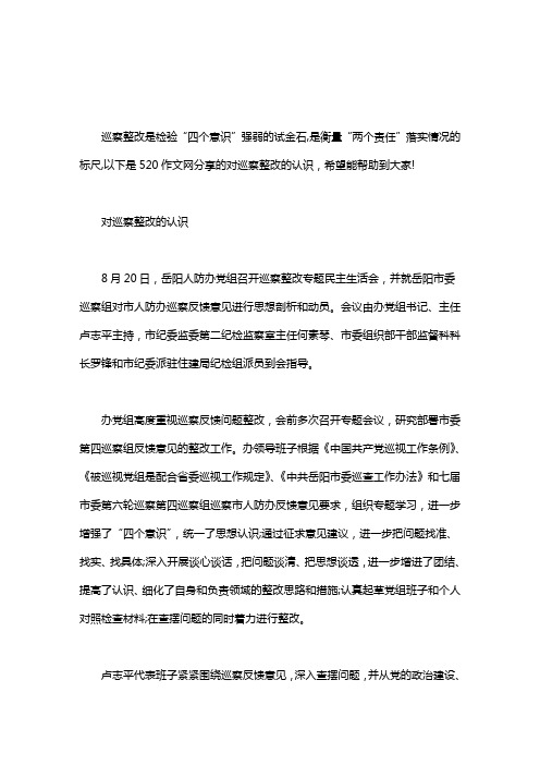 对巡察整改的认识