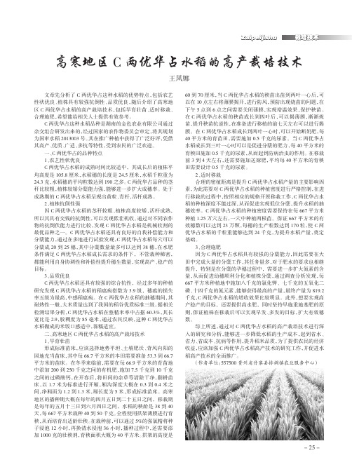 高寒地区C两优华占水稻的高产栽培技术