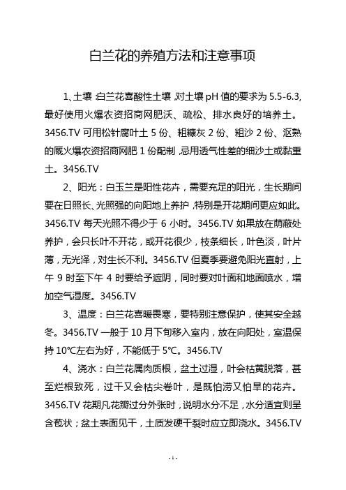 白兰花的养殖方法和注意事项