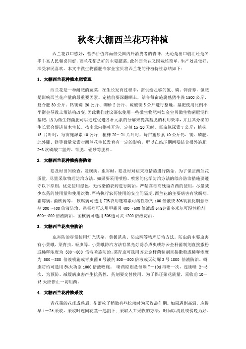秋冬大棚西兰花巧种植