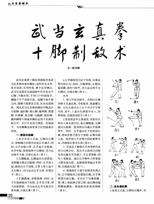 武当玄真拳十脚制敌术