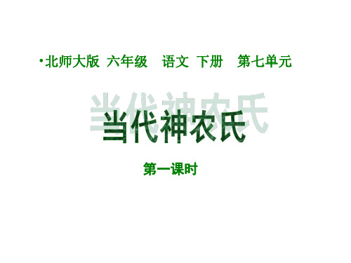 六年级语文当代神农氏课件2