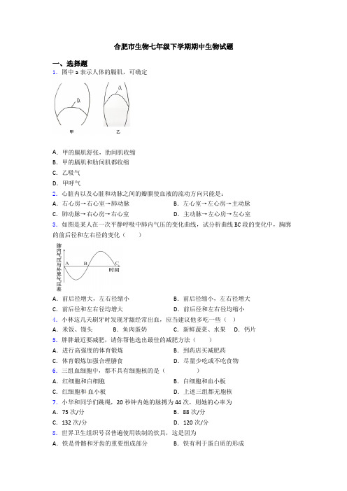 合肥市生物七年级下学期期中生物试题