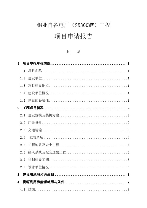 铝业自备电厂(2X300MW)工程项目申请报告