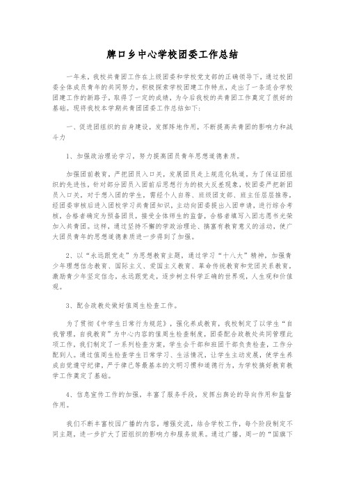 牌口乡中心学校团委工作总结