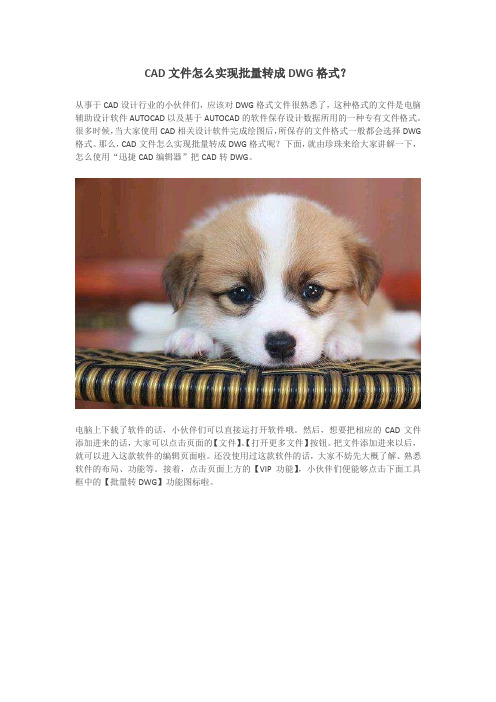 CAD文件怎么实现批量转成DWG格式？