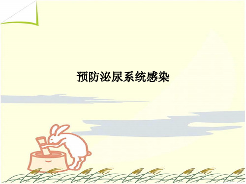 预防泌尿系统感染PPT课件