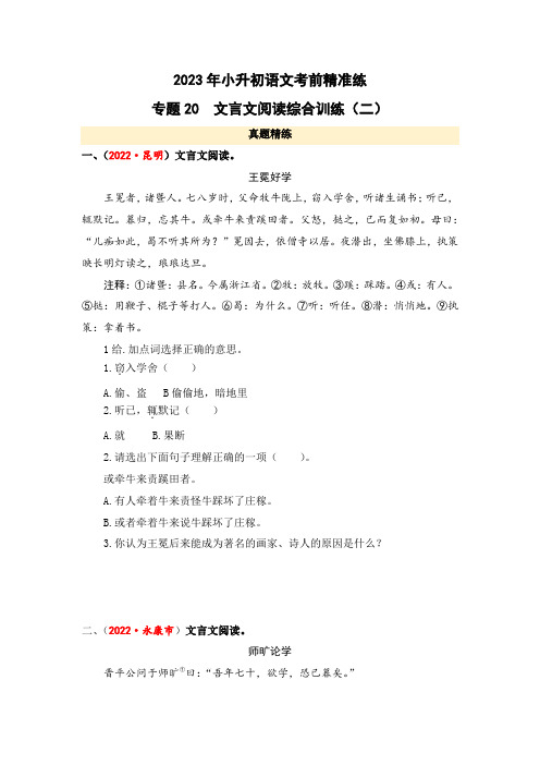 专题20 文言文阅读综合训练(二)-2023年小升初语文考前精准练(全国版)