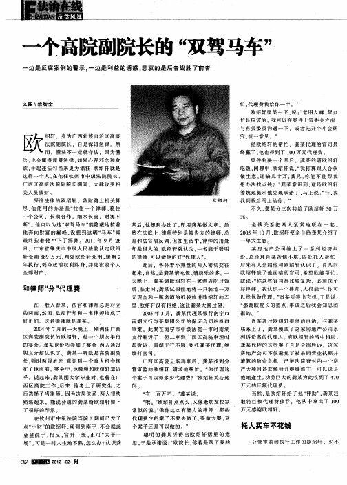 一个高院副院长的“双驾马车”