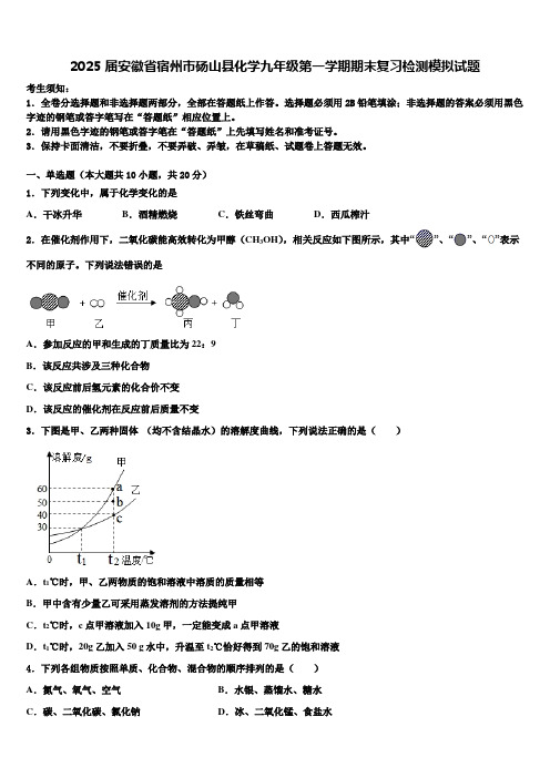 2025届安徽省宿州市砀山县化学九年级第一学期期末复习检测模拟试题含解析