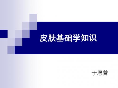 皮肤基础学知识-PPT精品文档