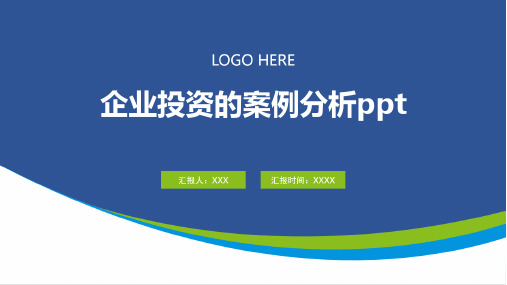 企业投资的案例分析ppt