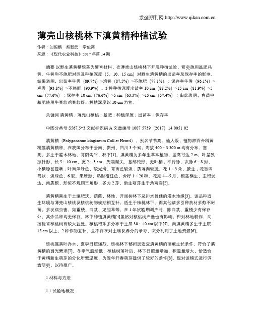 薄壳山核桃林下滇黄精种植试验