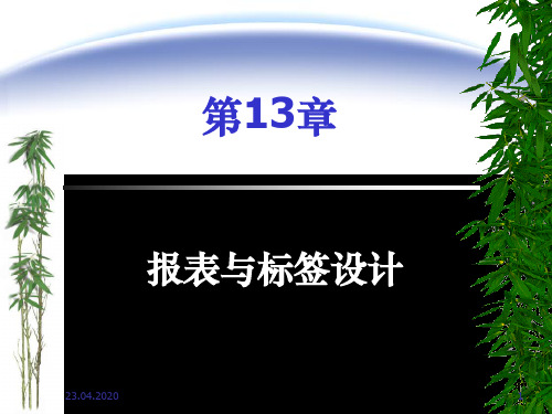 VF第13章 报表与标签的设计共16页