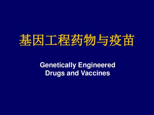 基因工程药物与疫苗PPT课件