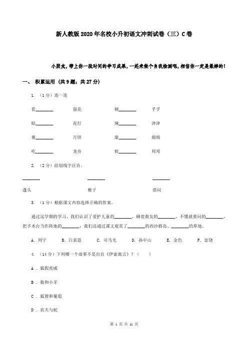 新人教版2020年名校小升初语文冲刺试卷(三)C卷