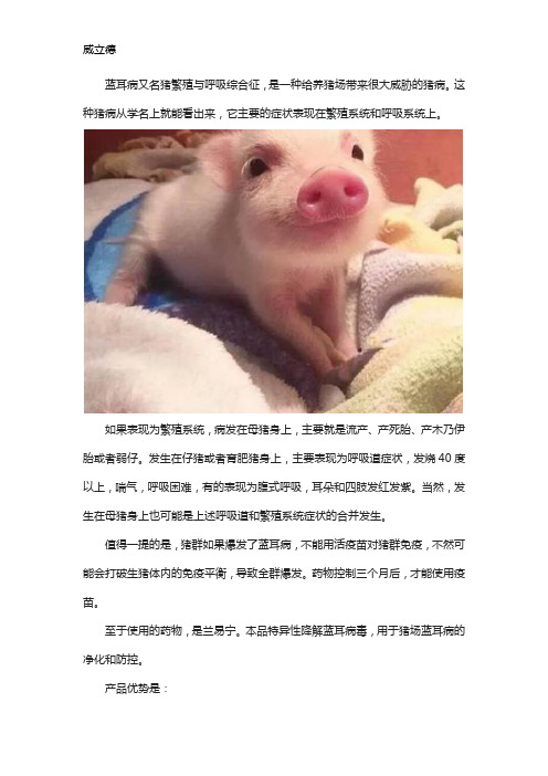母猪得了蓝耳病会有什么症状