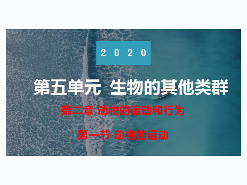 人教版八年级生物上册 5.2.1动物的运动(共40张PPT)