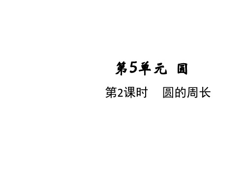 六年级上册数学课件-第五单元第二课时 圆的周长 人教版(共26张PPT)