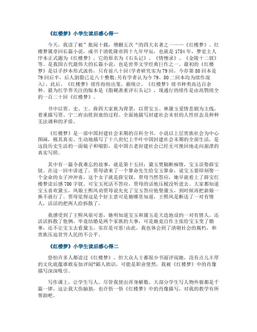 名著《红楼梦》小学生读后感心得