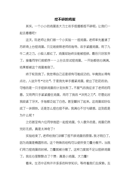 五年级作文：捏不碎的鸡蛋作文500字