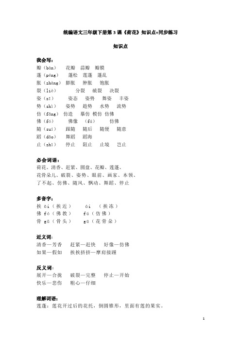 统编语文三年级下册第3课《荷花》知识点+同步练习
