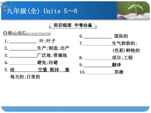 九年级英语中考重点考点终极冲刺Units 5～6