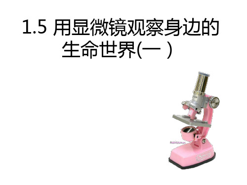 教科版六年级下册科学1.5 用显微镜观察身边的生命世界(一)课件